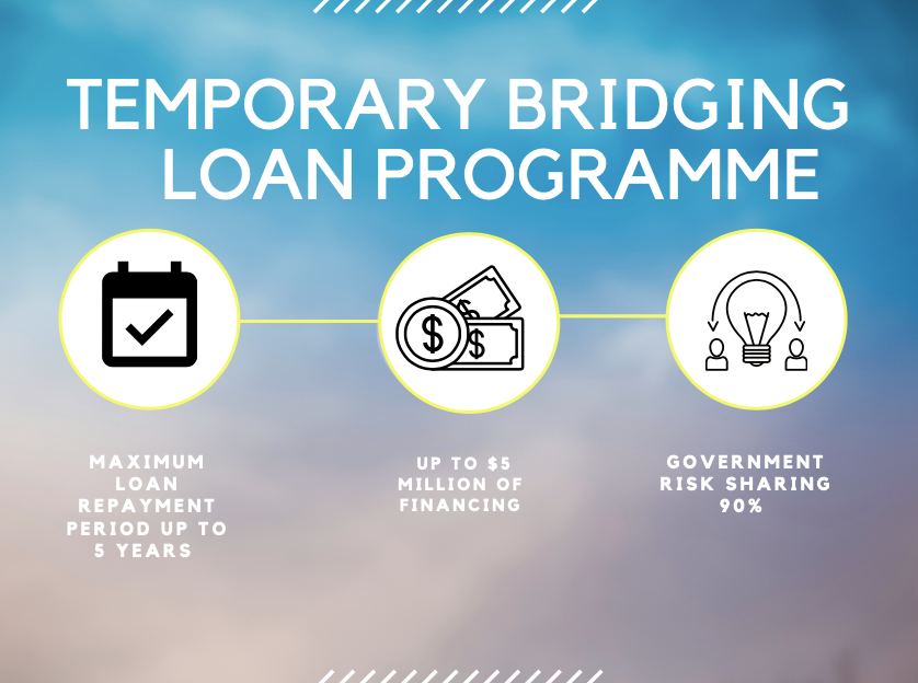 Temporary Bridging Loan Programme that small to medium businesses can participate.