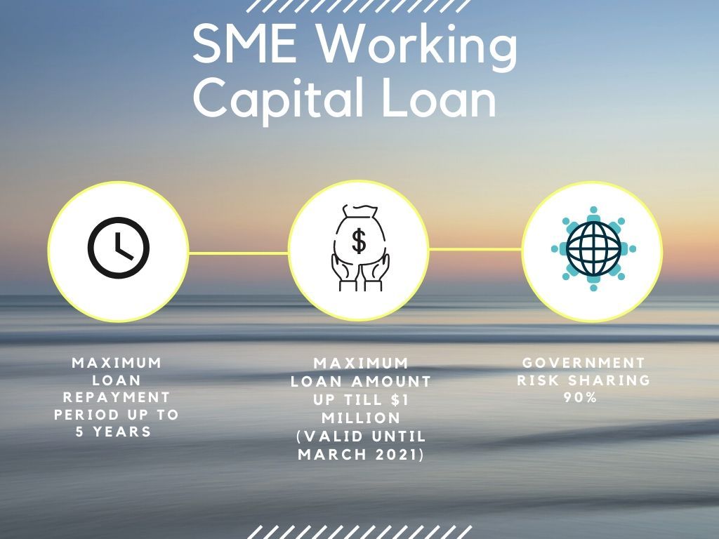 Get your financial support from Enterprise Financing Scheme (EFS) to assist SMEs working capital gaps.