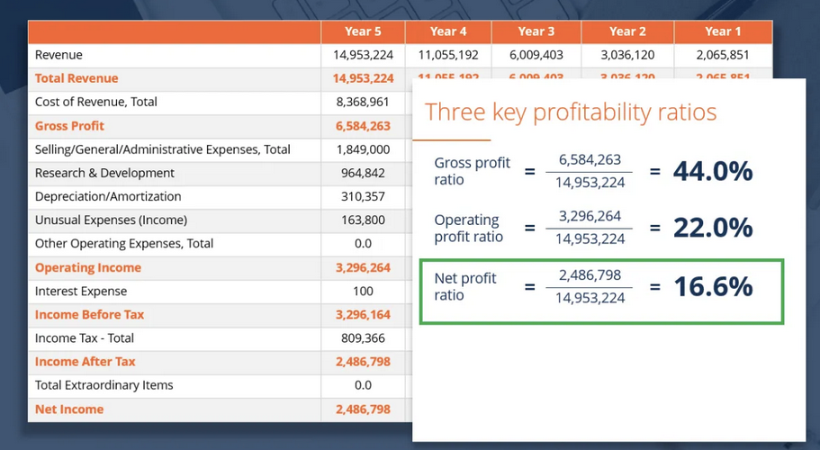 profit margin business plan example