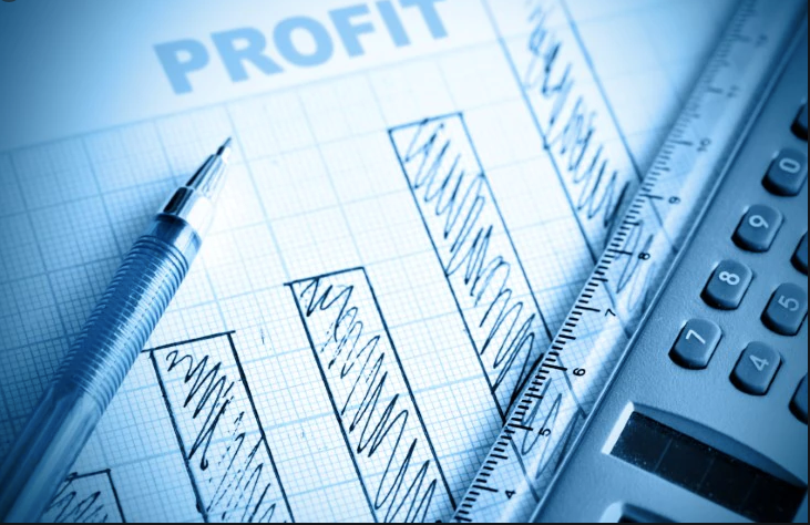 Net Profit Measure