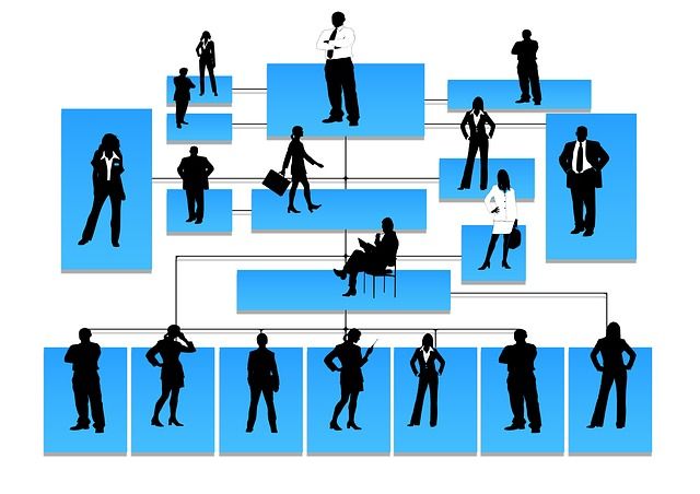 Detailing your Management and Organization
