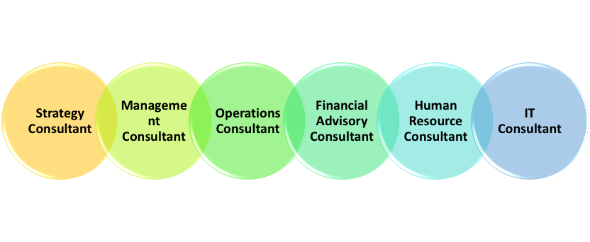 Types of Consulting