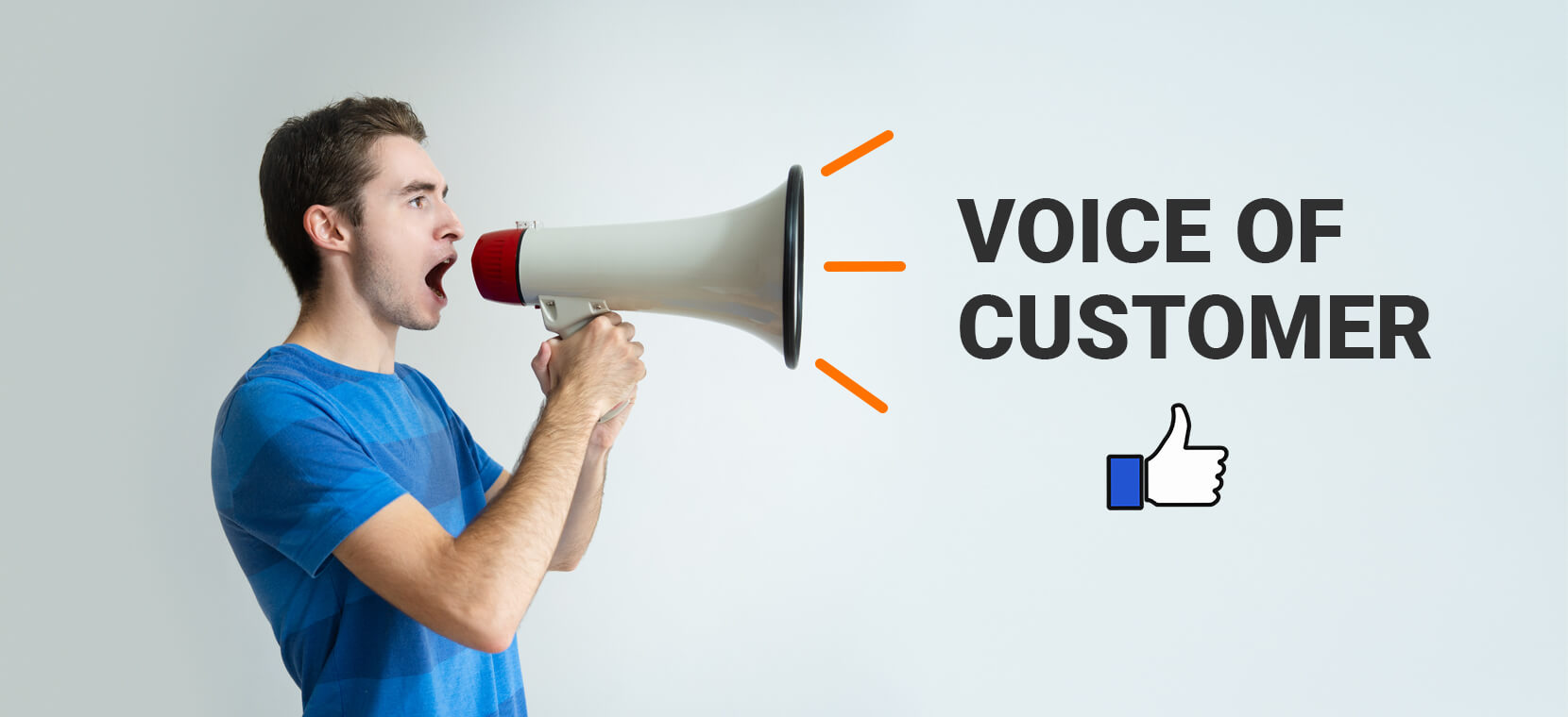 Voice of Customer