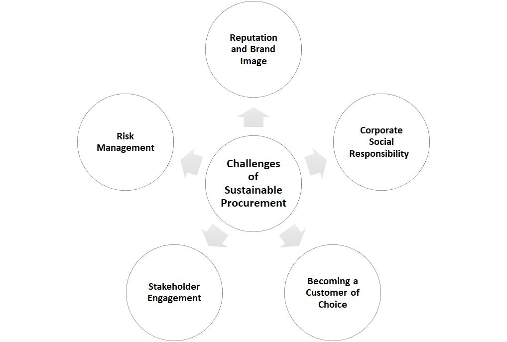 Challenges of Sustainable Procurement