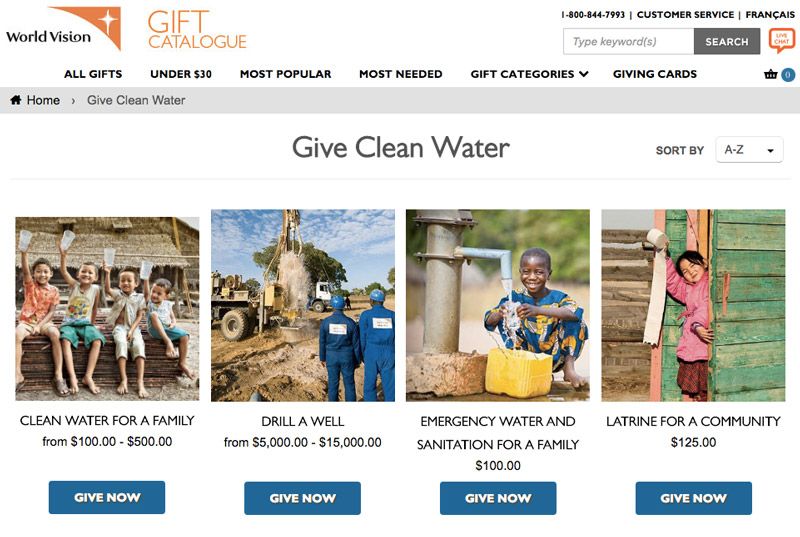 World Vision Charity CTA Example