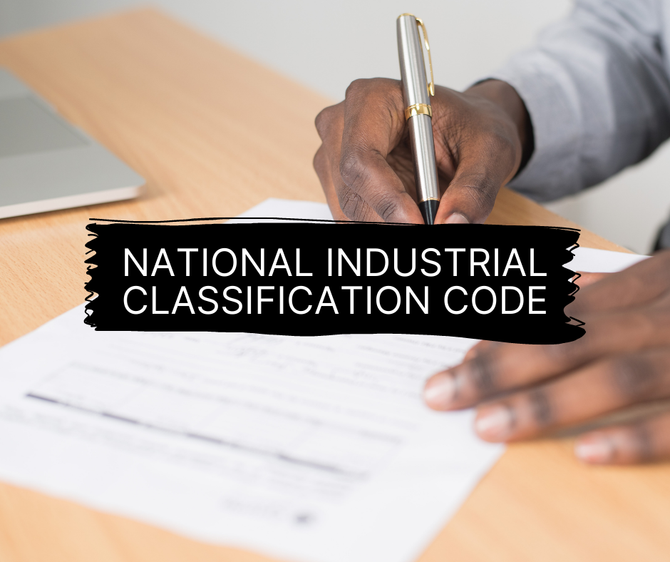 What is the National Industrial Classification Code (NIC)?
