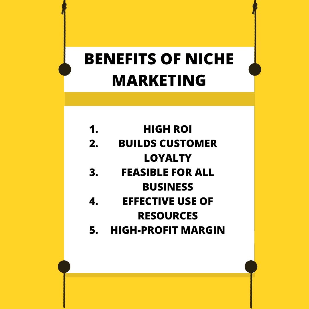 niche marketing in business plan