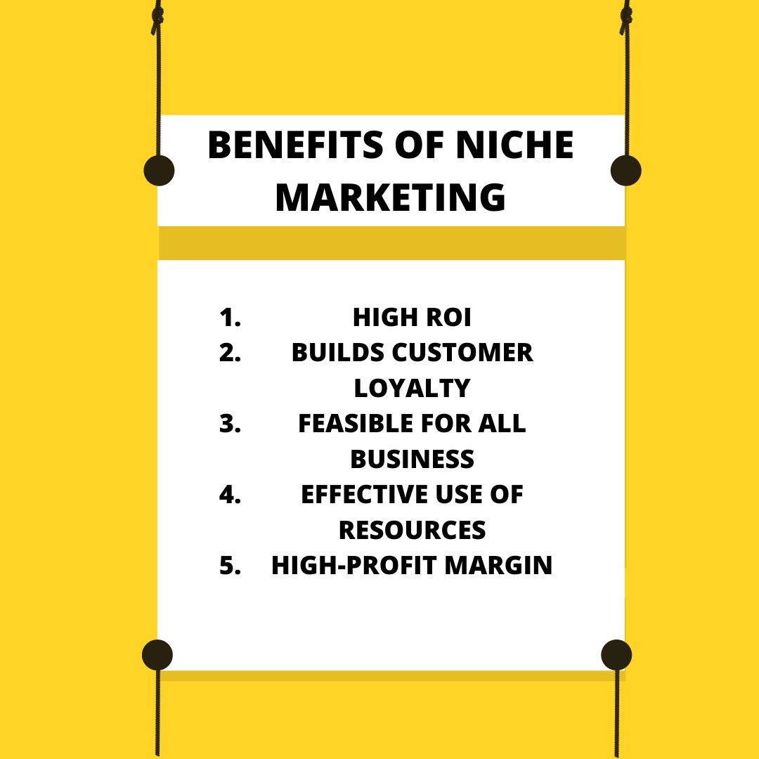 market niche in business plan