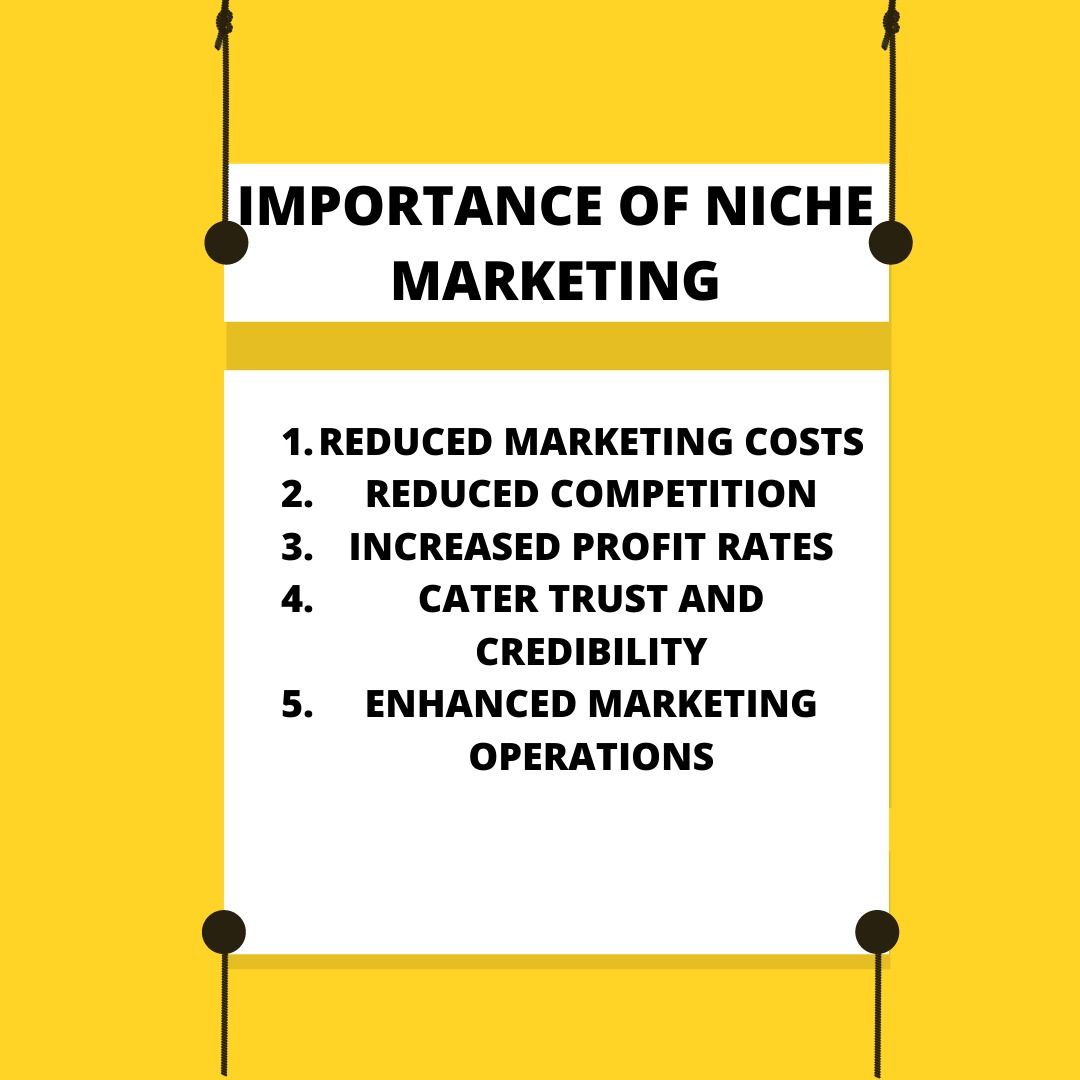 market niche in business plan