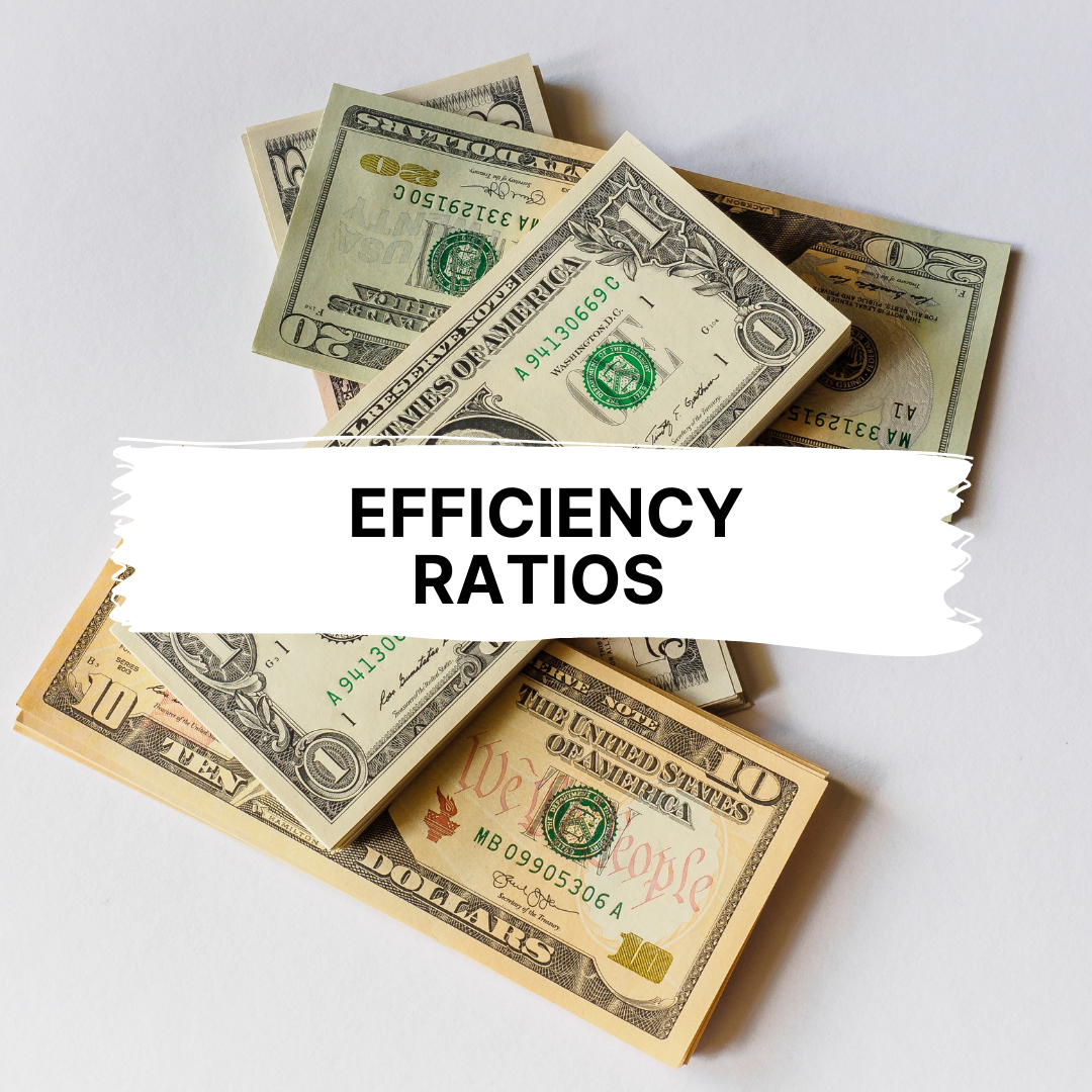 What is Efficiency Ratios? Guide with Examples