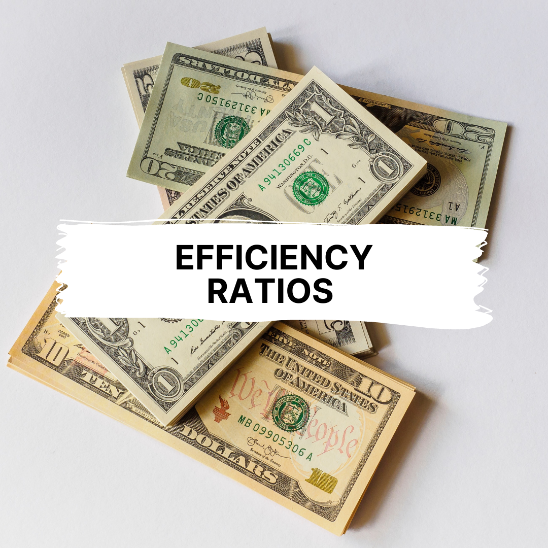 management efficiency ratios