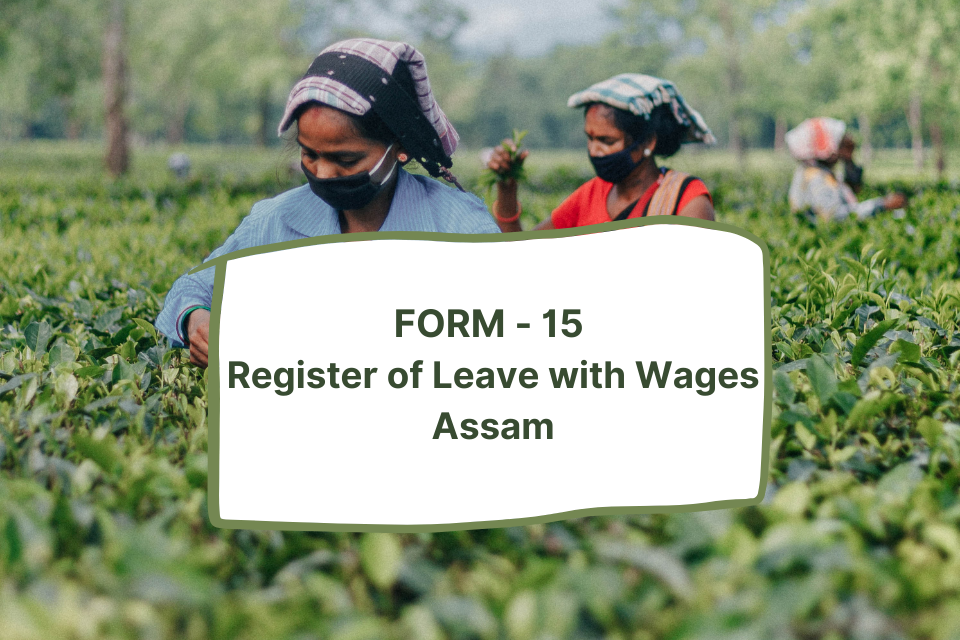 How Assam Government Ensures Proper Records of Work Hours with Form 15?