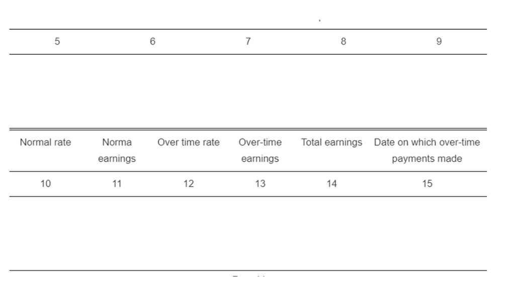 Rajasthan Minimum Wages Rules Form IV