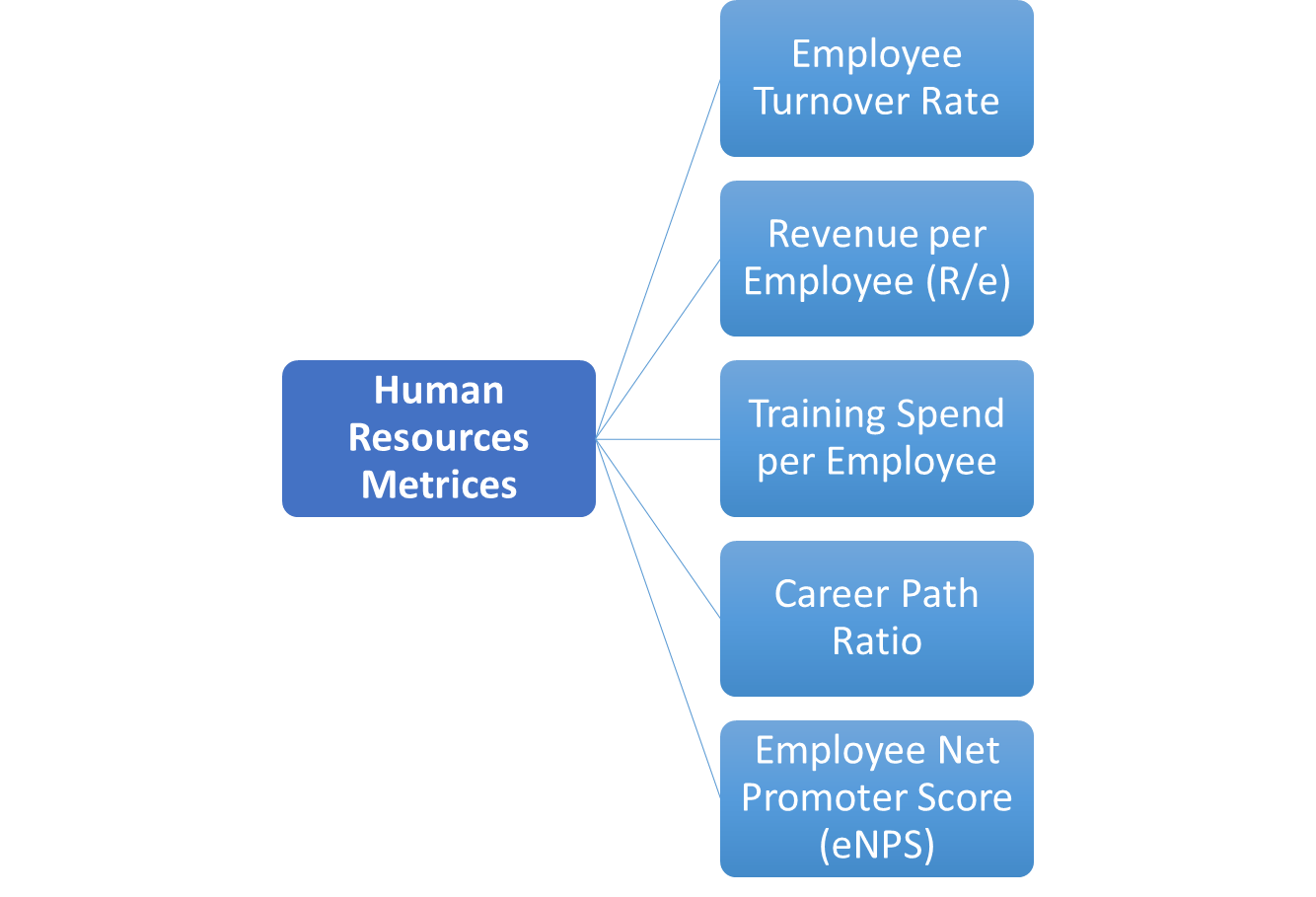 Human Resources Metrics Businesses Need to Track