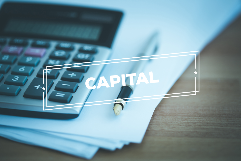 What is a Capital Account: How Does It Work