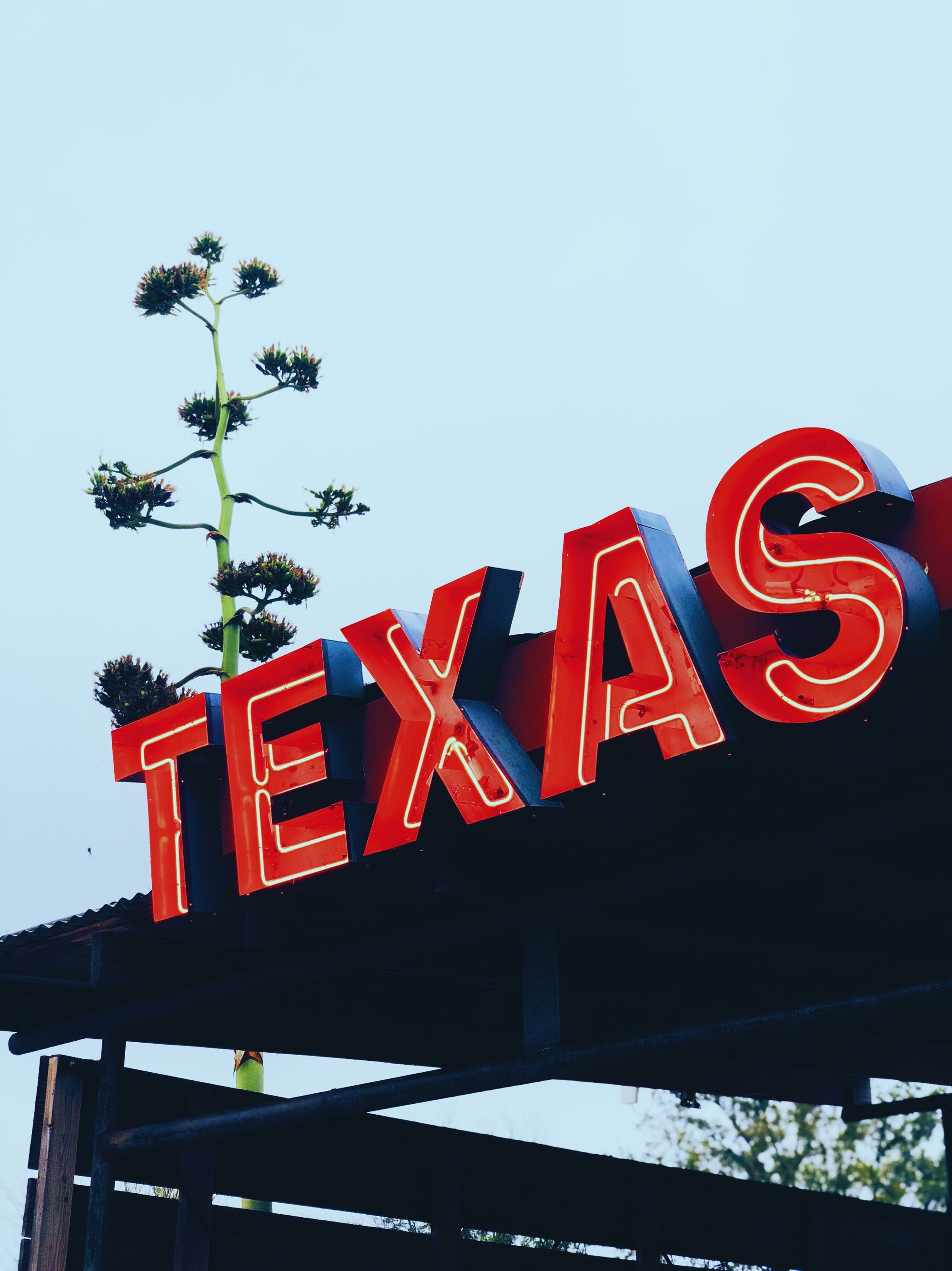 A Complete Guide to Texas Payroll Taxes