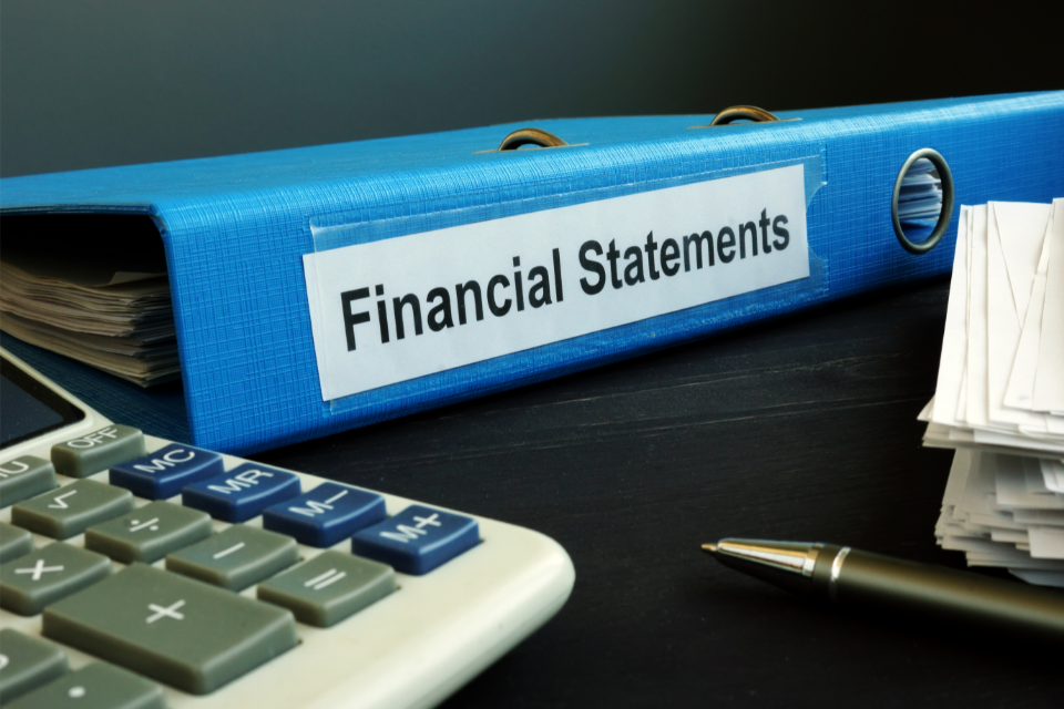 What is a Pro Forma Financial Statement? Definition & Uses