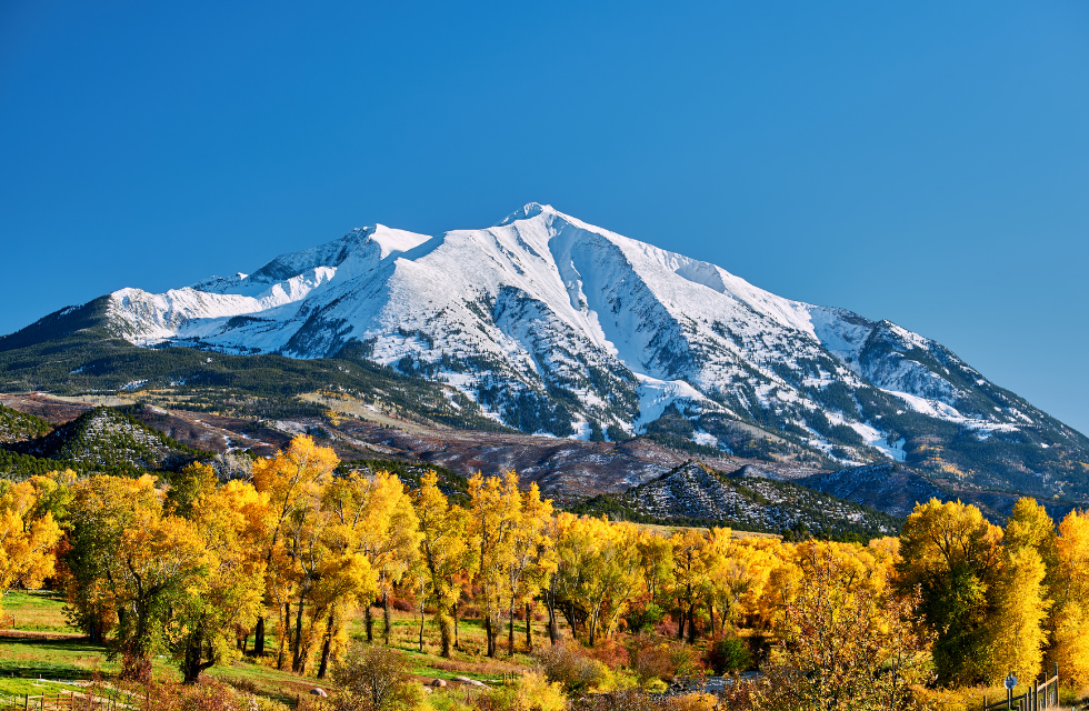 A Complete Guide to Colorado, Payroll Taxes