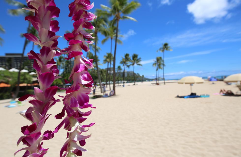 A Complete Guide to Hawaii, Payroll Taxes
