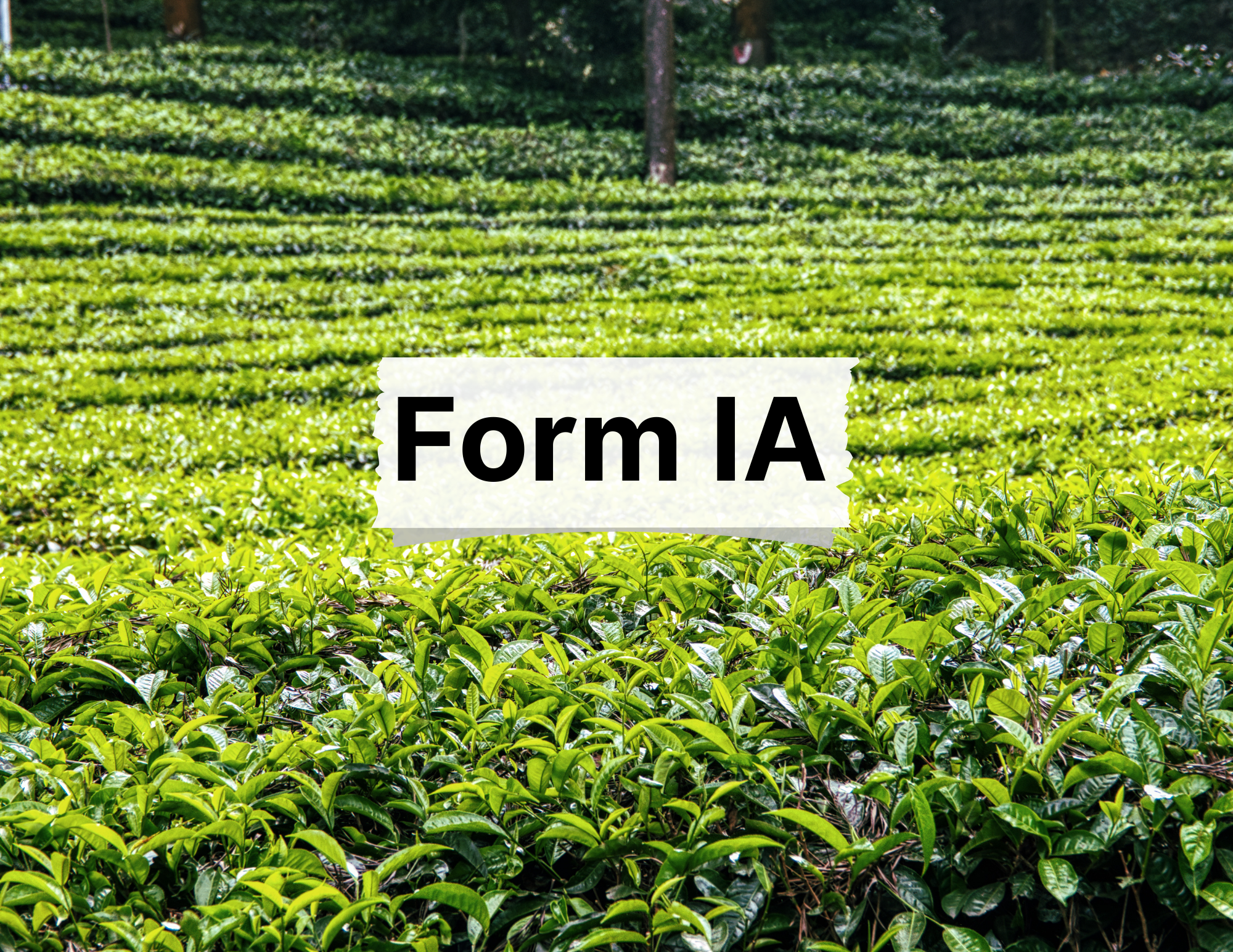 Form IA – Certificate of Registration as PT Act in Assam