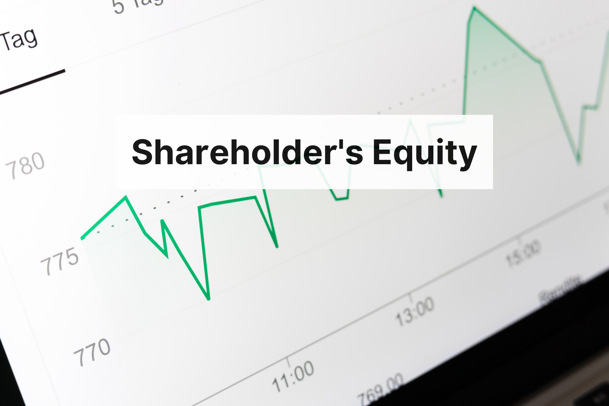 Shareholder's Equity: Formula with Examples