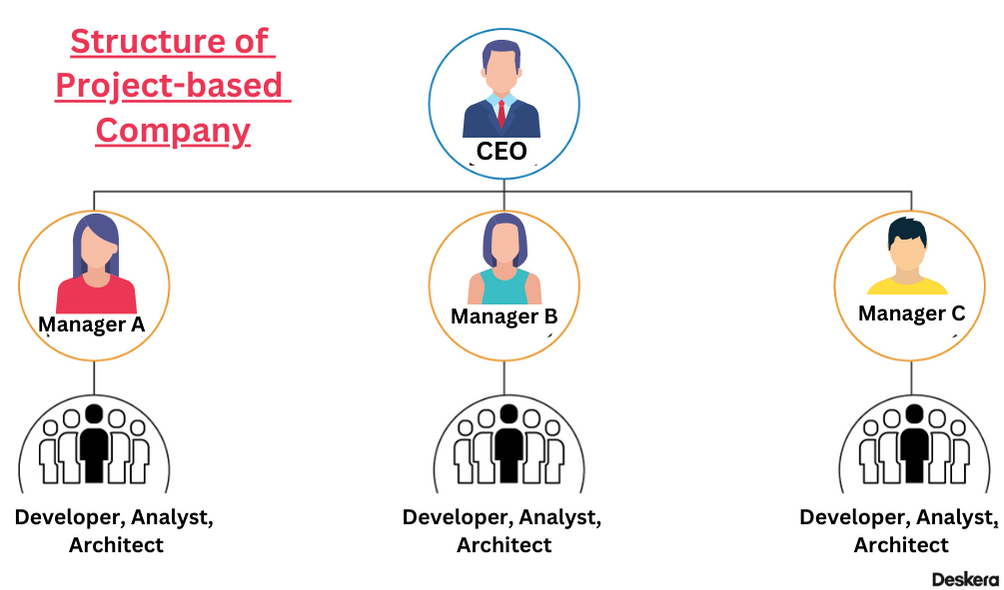 Structure of a Project-based Company