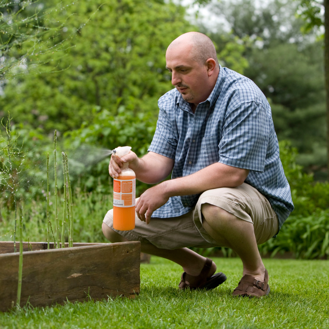 man taking care of plants