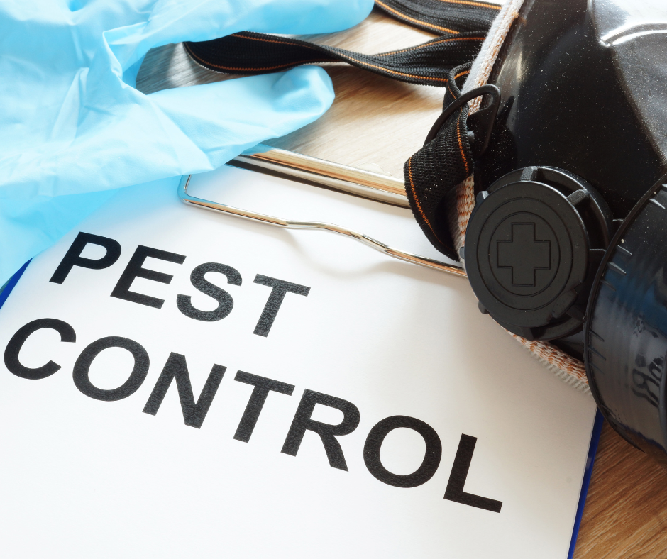 pest control Dubai