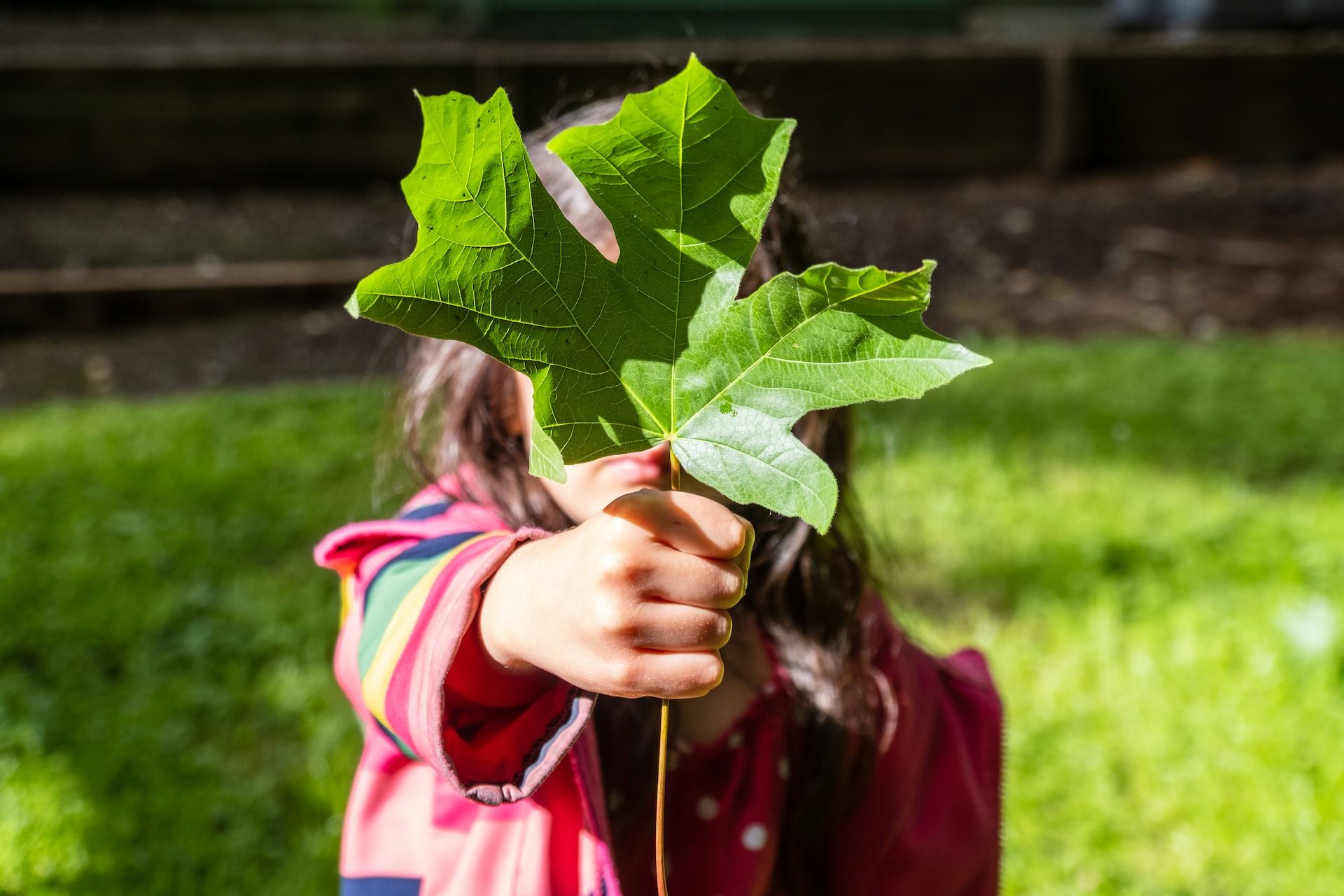 Plastic Manufacturing: Environmental Impact and Sustainability