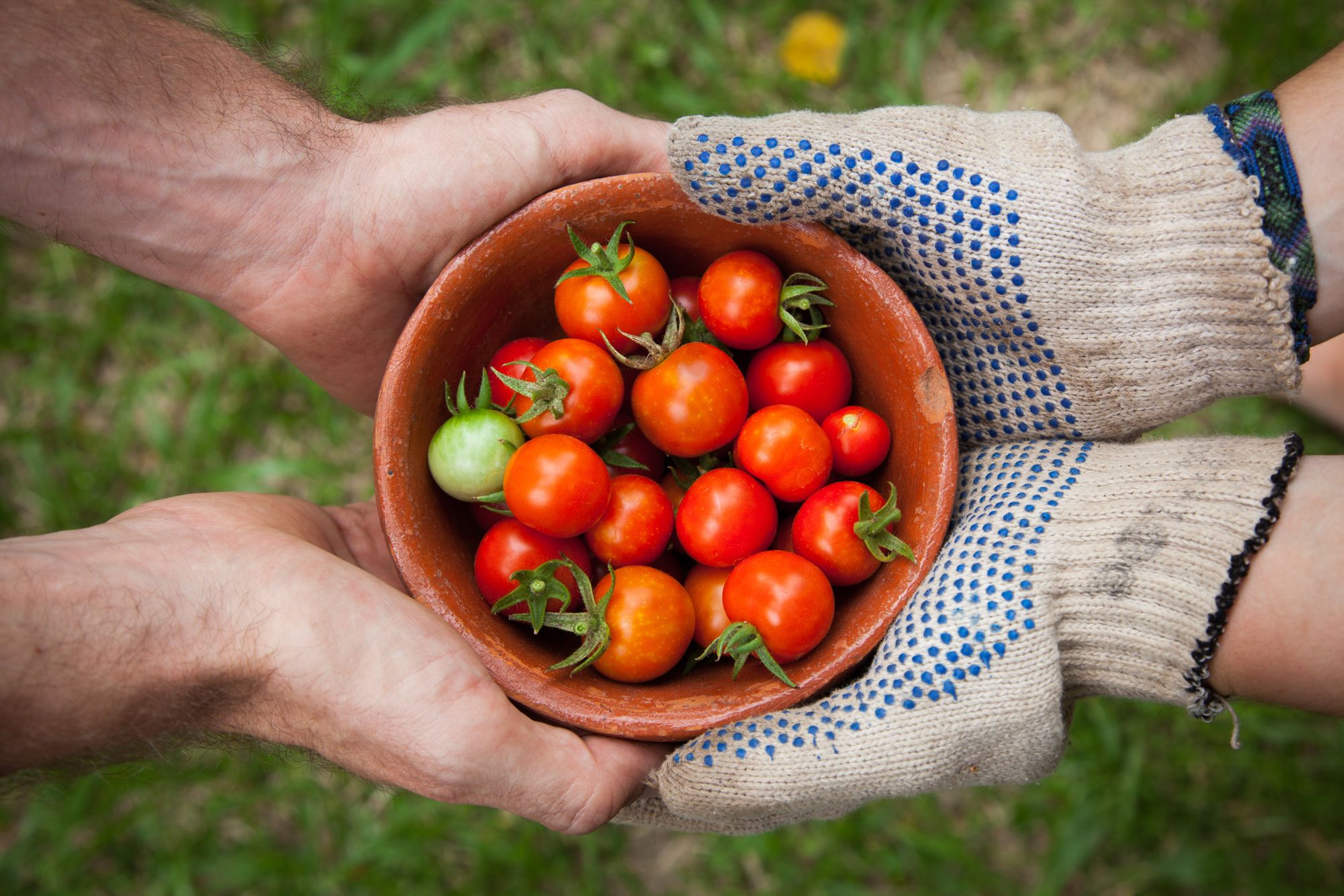 Best Practices for Food Manufacturing Quality Control