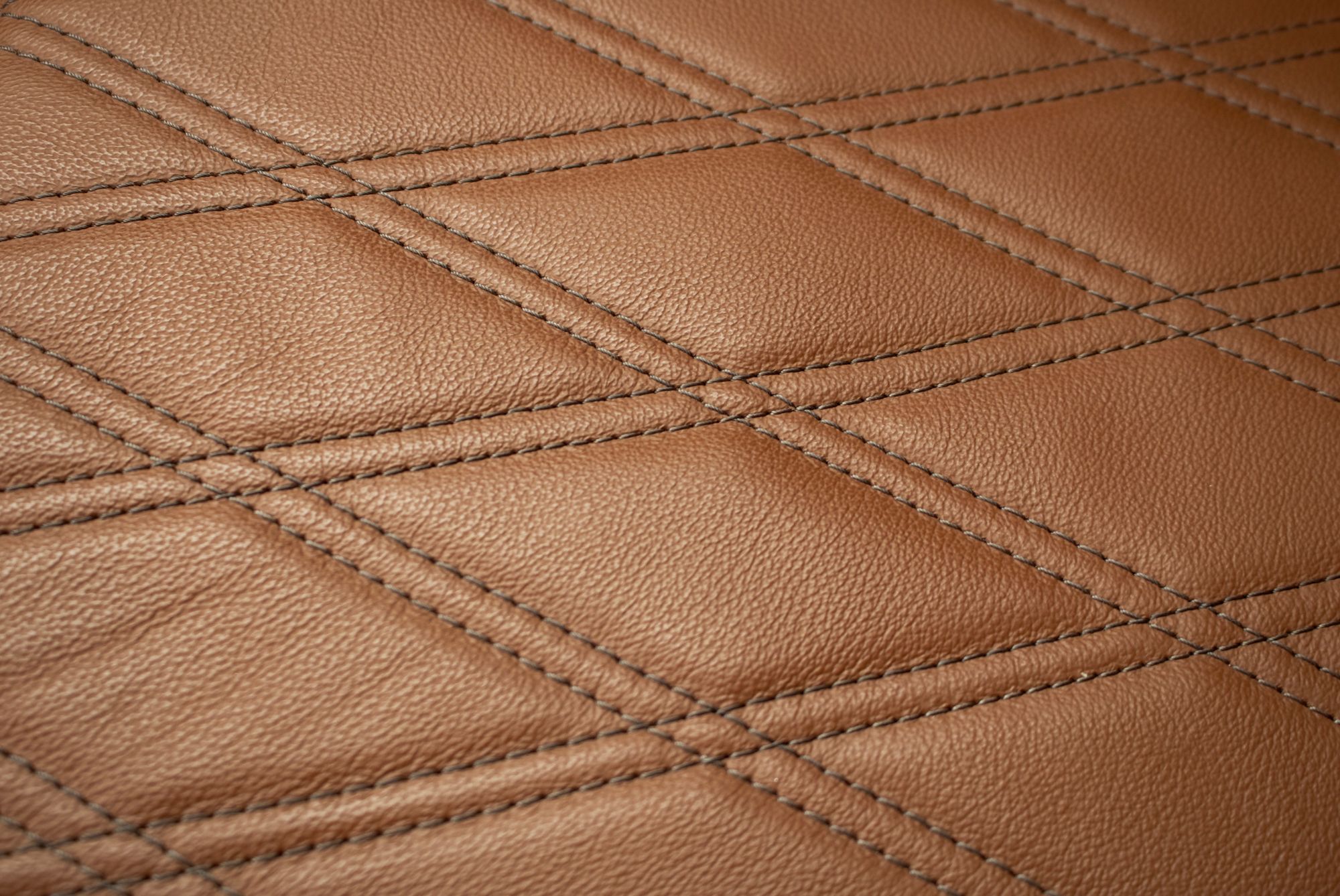 Reducing the Cost of Leather Manufacturing