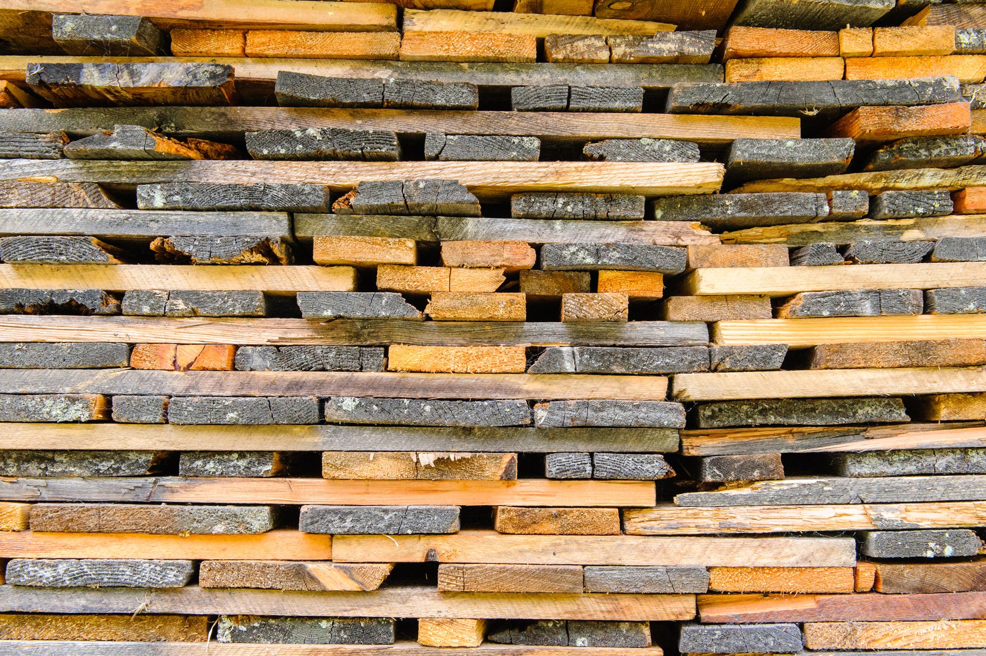 Opportunities and Challenges in the Wood Manufacturing Industry 