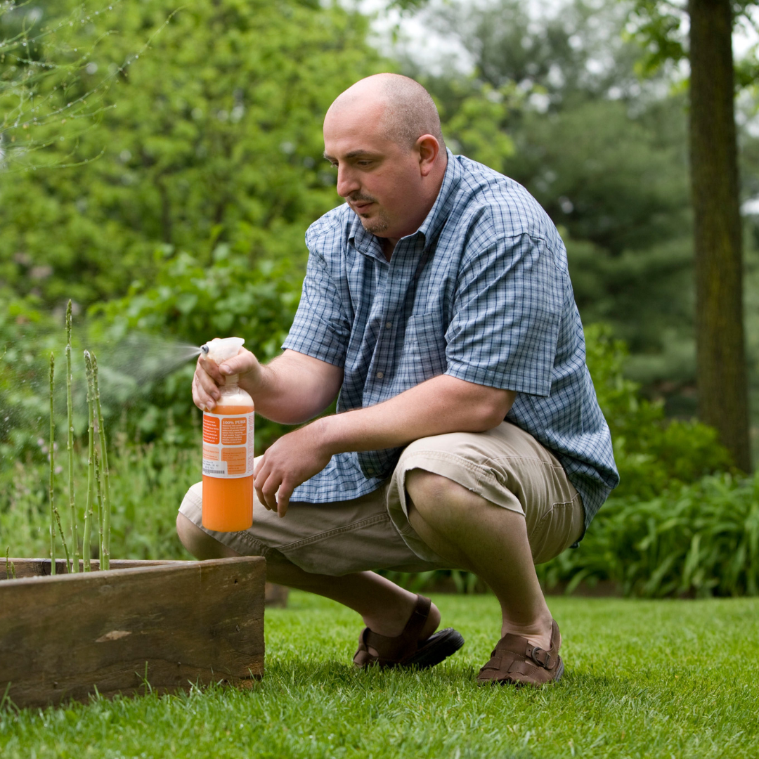 How to Measure the Effectiveness of Pest Control Manufacturing?