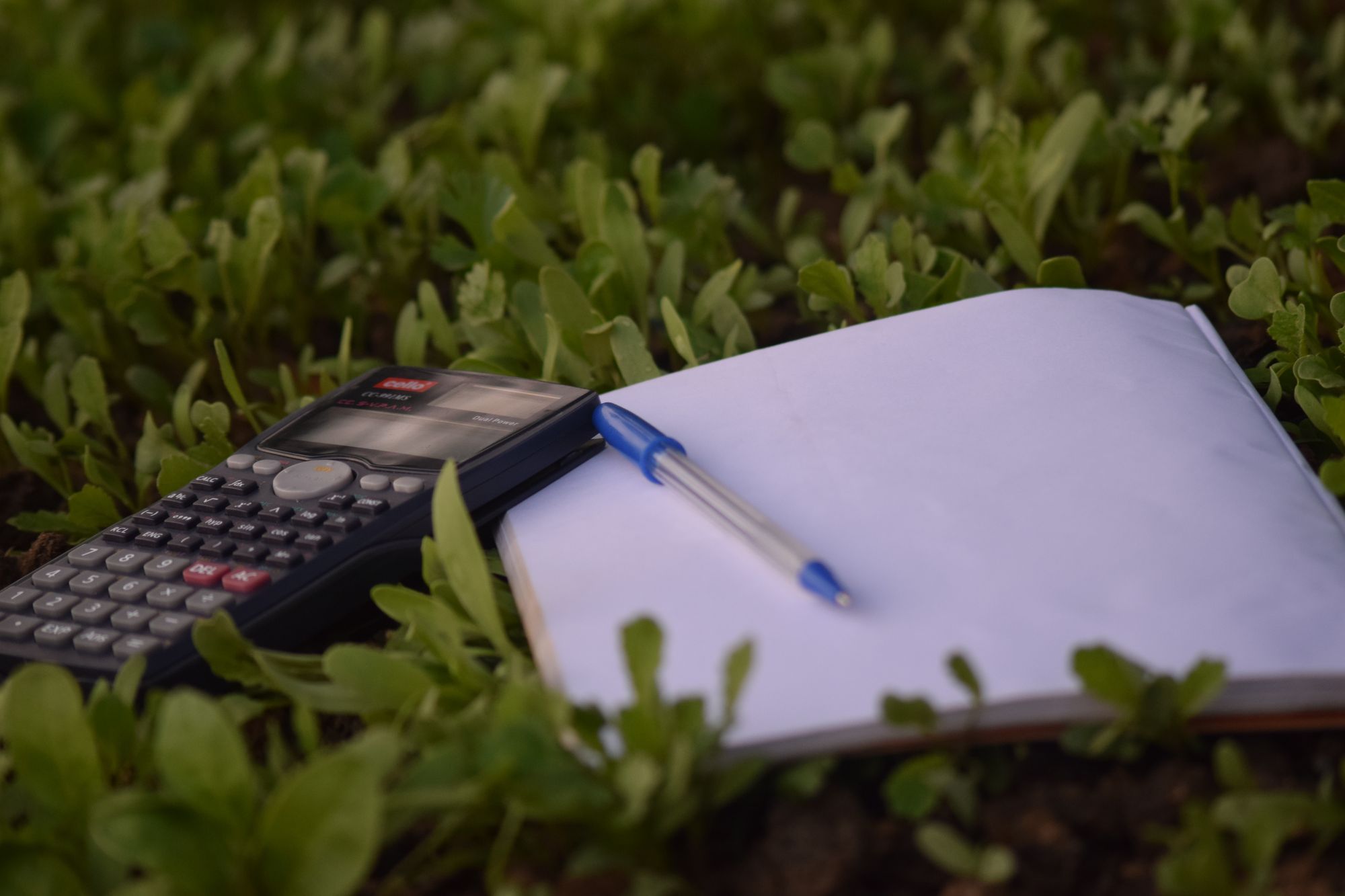What Are The Types Of Income Statement